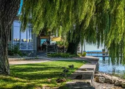 Riva Sipplingen 1177